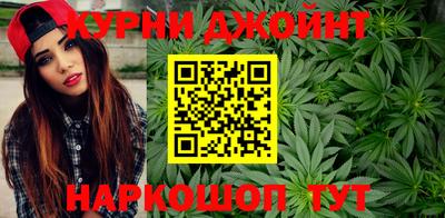 мдпв Гатчина