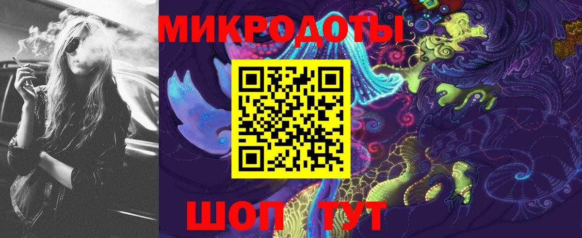 Галлюциногенные грибы Psilocybine cubensis Сосновый Бор