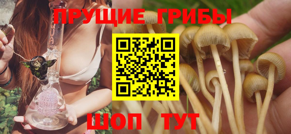 купить наркоту  Галлюциногенные грибы мухоморы  Сосновый Бор  Вход с VPN  Псилоцибиновые грибы ЛСД 