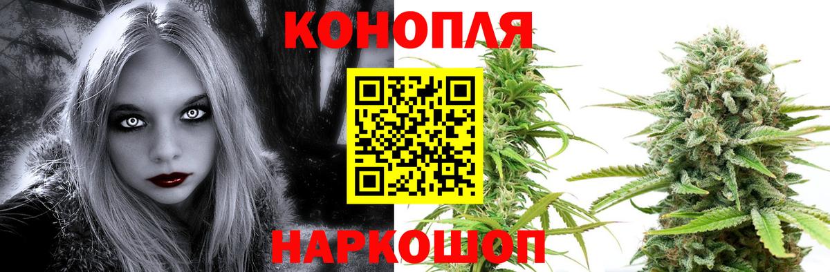 Конопля планчик  Бошки марихуана AK-47  МАРИХУАНА AK-47  Сосновый Бор  Вход с VPN 